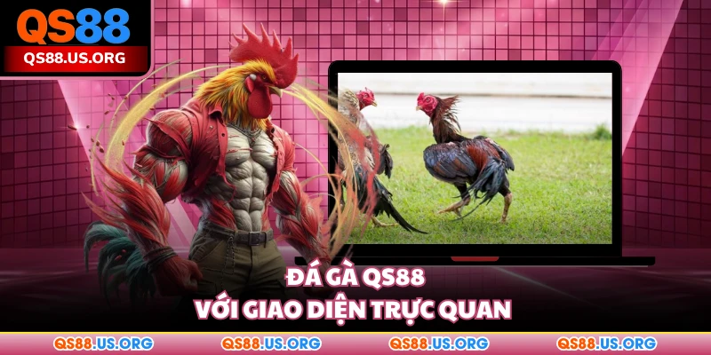 Đá gà QS88 với giao diện trực quan 